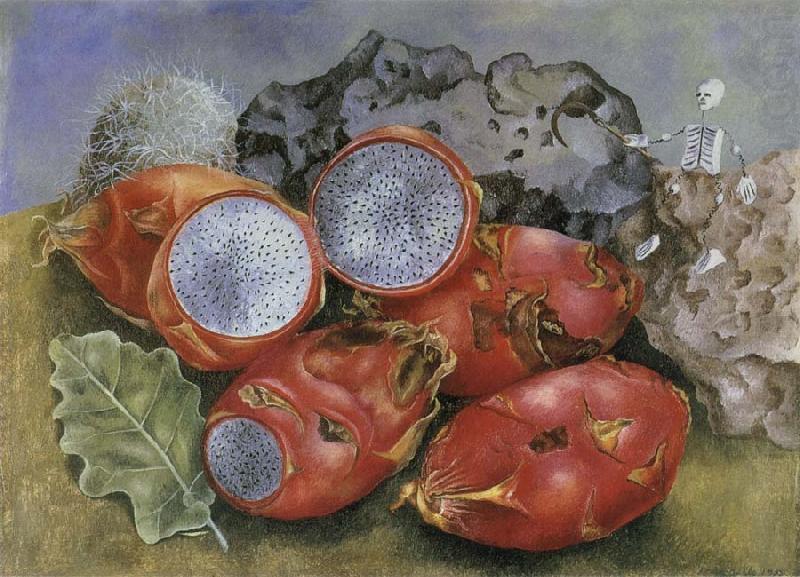 Frida Kahlo The still life having the fruit china oil painting image